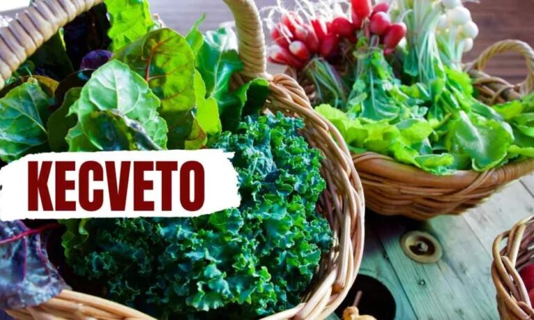 Unveiling the Kecveto Lifestyle: A Path to Wellness